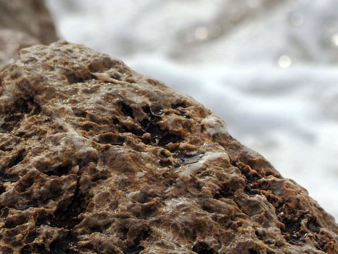 Mokra, szorstka skała z białymi osadami mineralnymi blisko wody.