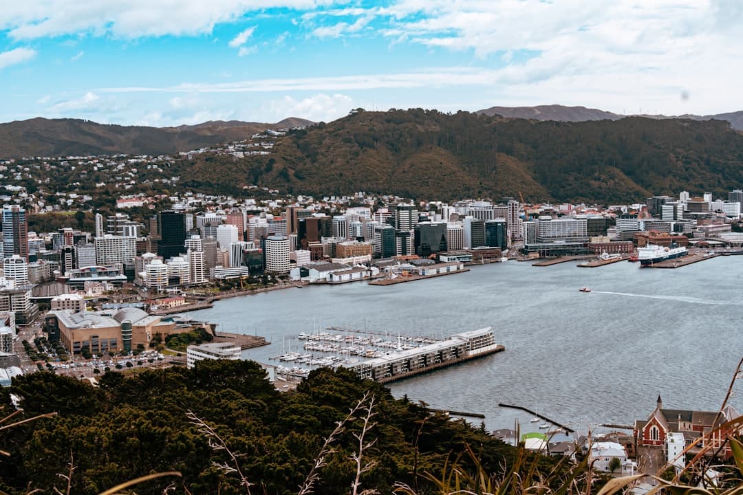 Panorama miasta Wellington, portu, zatoki i wzgórz.