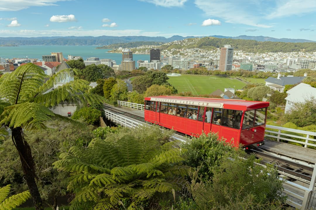 Czerwona kolejka linowa Wellington, panorama miasta i portu.
