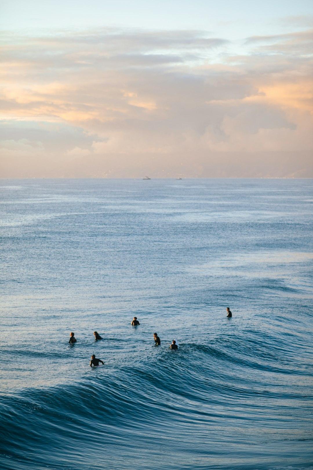 Surferzy w piankach na spokojnym oceanie pod pastelowym niebem.