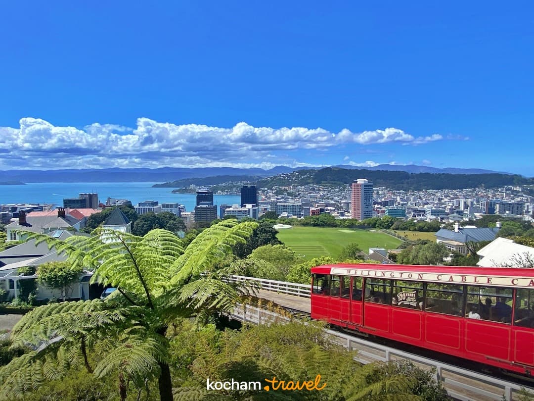 Czerwona kolejka linowa Wellington, panoramiczny widok na miasto i zatokę.