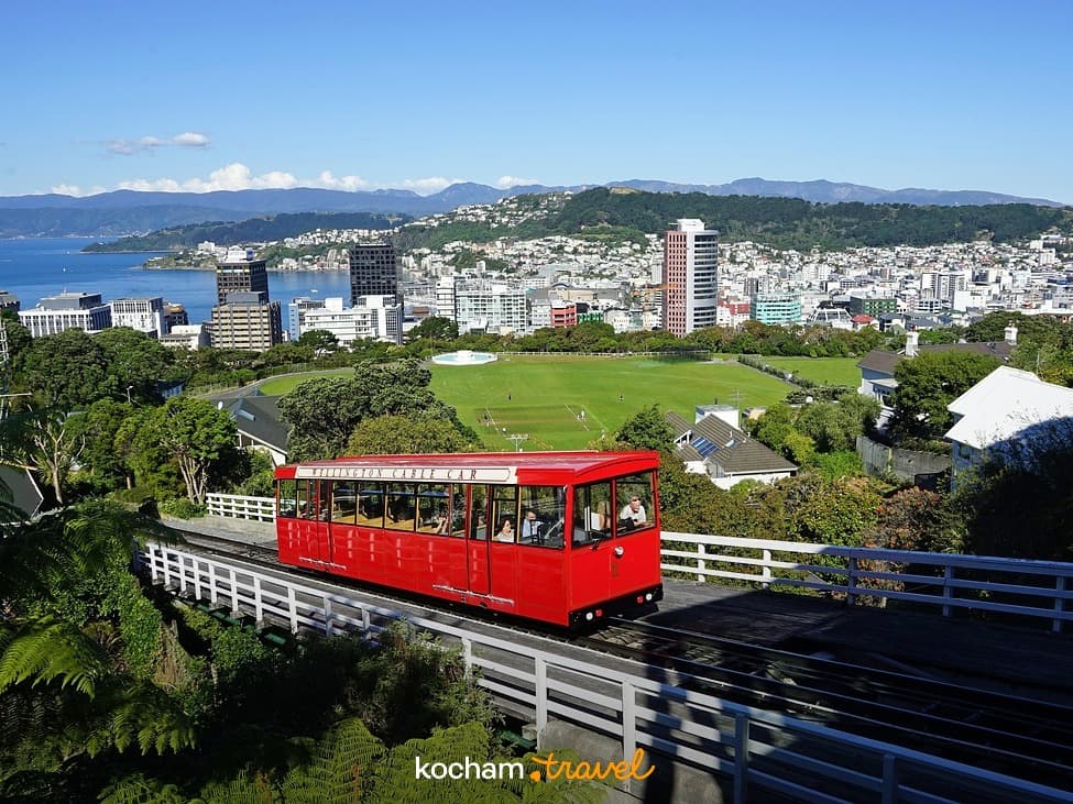 Czerwona kolejka Wellington Cable Car, panorama miasta, port w słoneczny dzień.