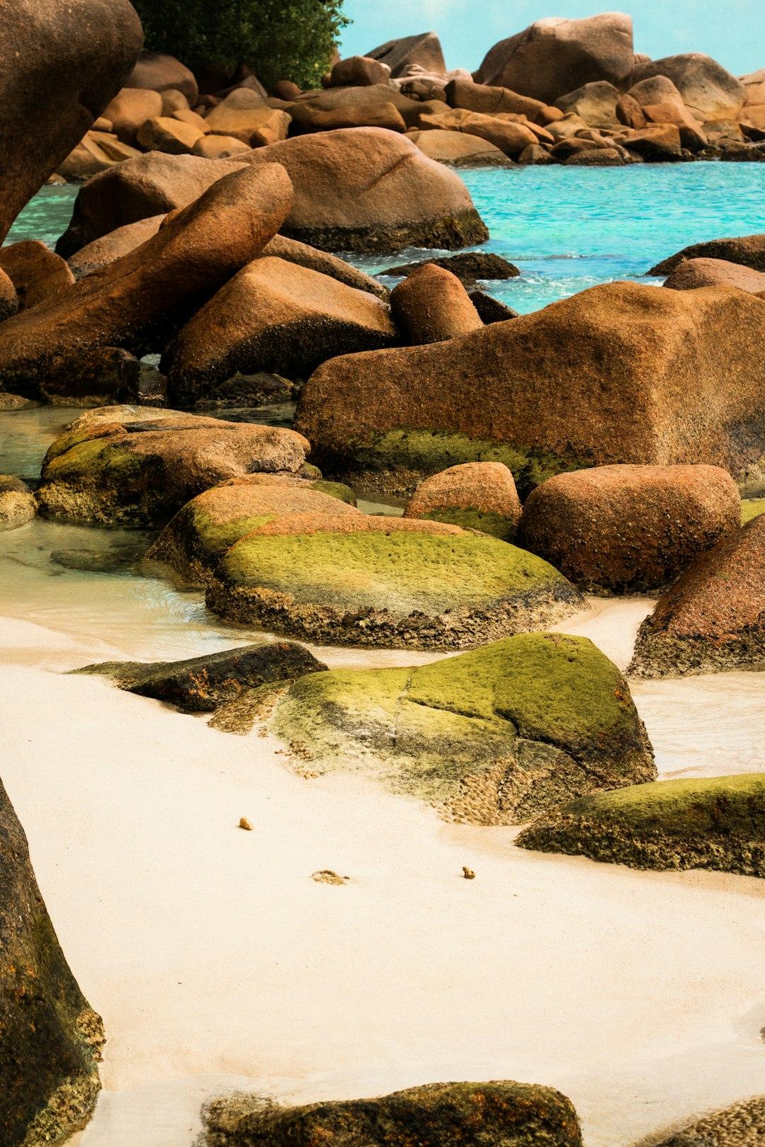 Piaszczysta plaża z omszonymi granitowymi skałami i krystalicznie czystą, turkusową wodą.