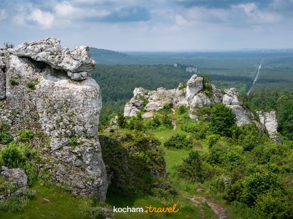 Panoramiczny krajobraz z białymi wapiennymi skałami i zielonym lasem.