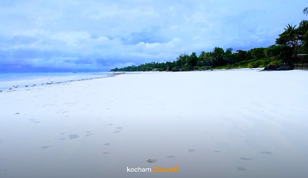 Biała piaszczysta plaża tropikalna z palmami i oceanem.