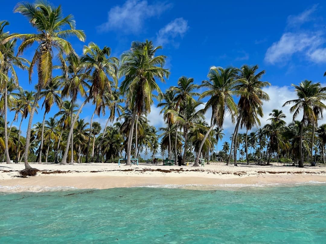 Tropikalna plaża z palmami i turkusową wodą pod błękitnym niebem.