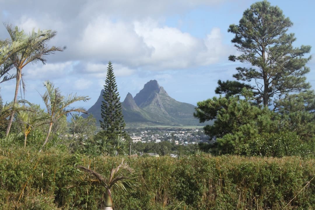 Mauritius krajobraz: tropikalne góry, miasto, bujna zieleń pod niebem.