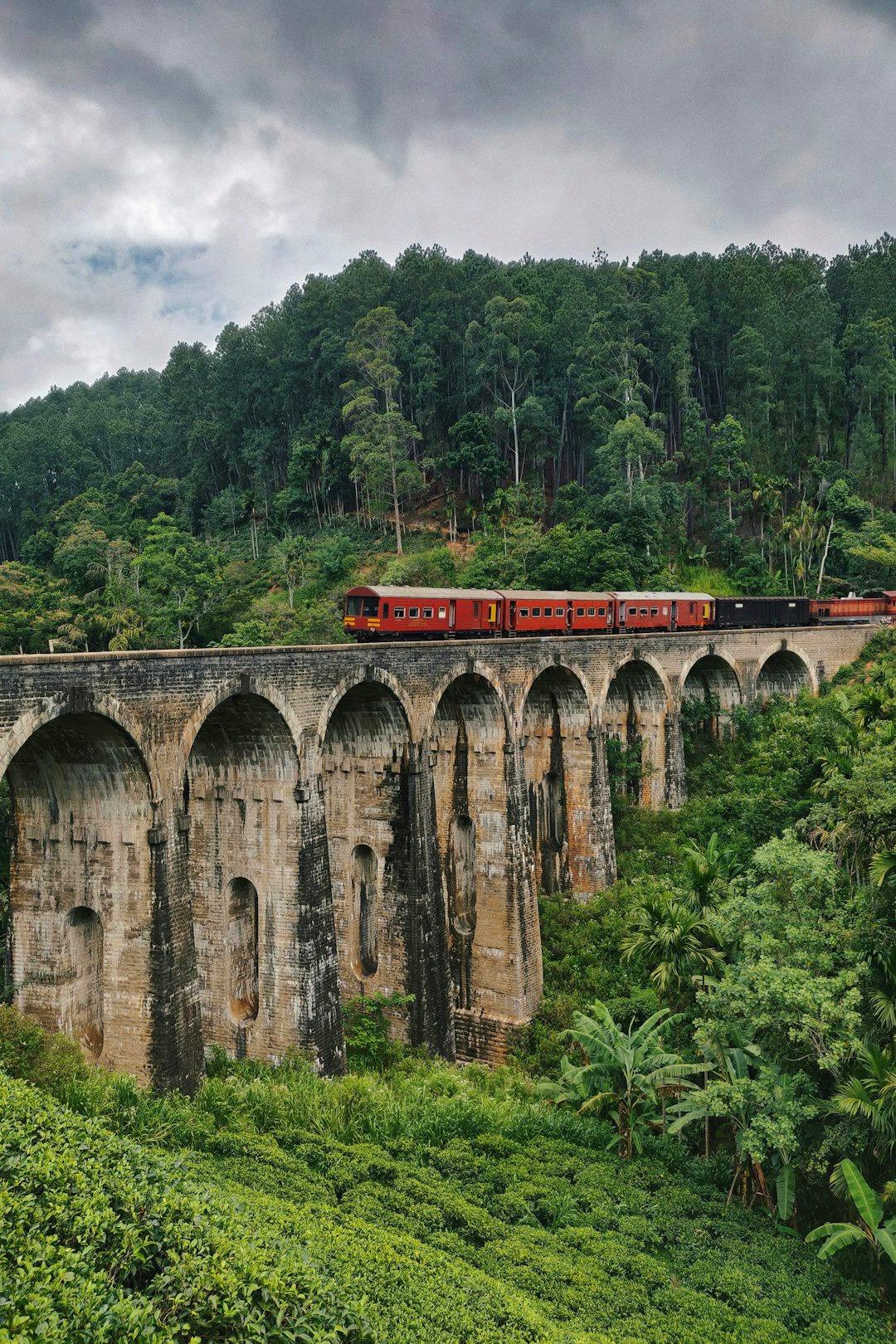 Pociąg na moście Nine Arch Bridge, bujny tropikalny krajobraz Sri Lanki.