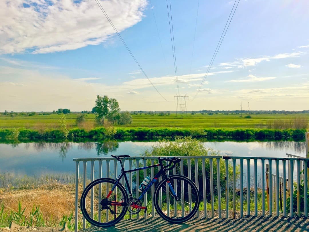 Rower przy rzece, zielone pola, wiejski krajobraz, słoneczny dzień.