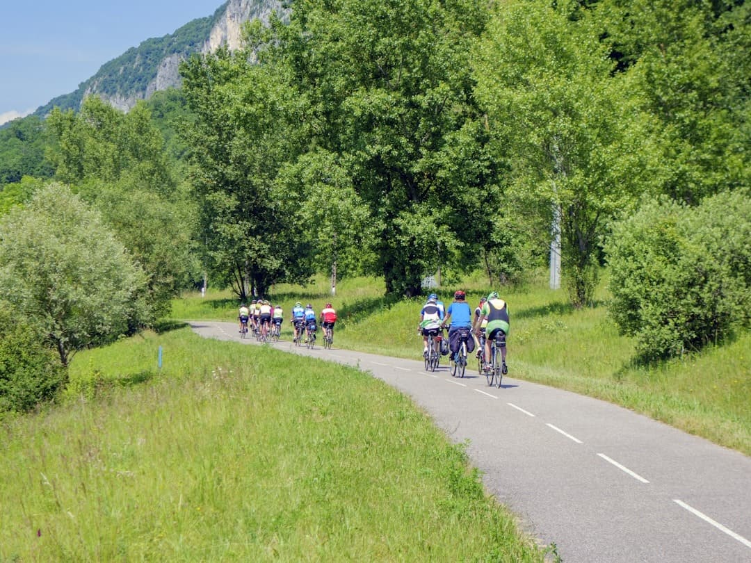 Grupa rowerzystów na krętej drodze w zielonych górach.