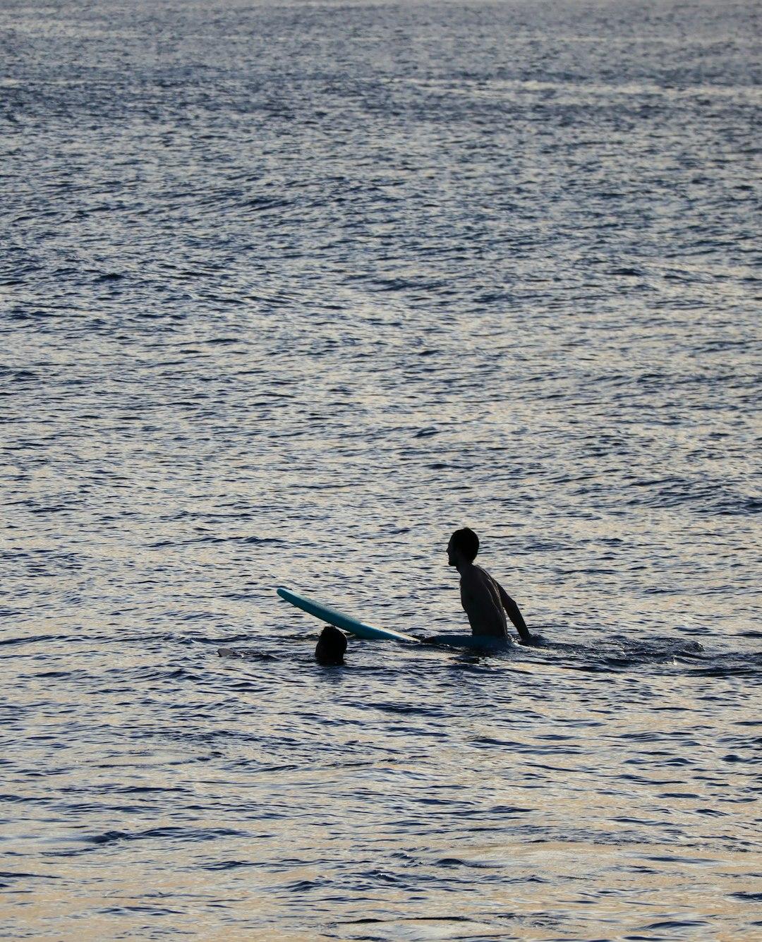 Sylwetki surferów z deską w spokojnej wodzie morza.