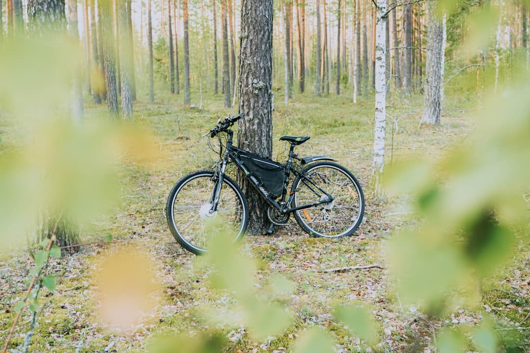 Czarny rower trekkingowy z torbą oparty o drzewo w lesie.