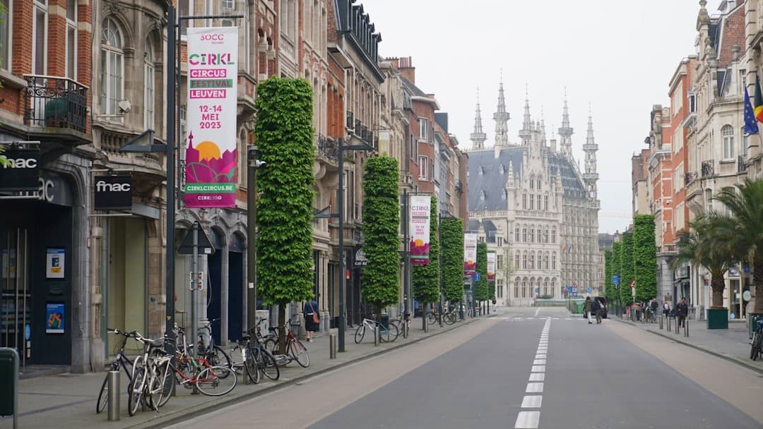 Historyczna ulica Leuven, ratusz, architektura miejska, Belgia.