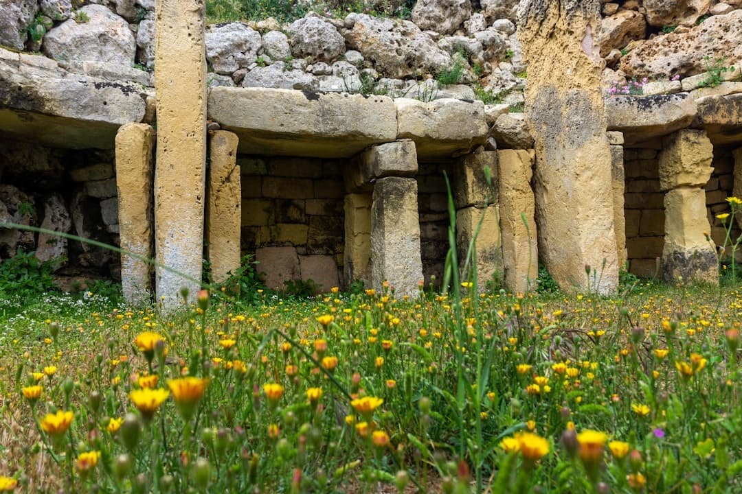 Starożytne megalityczne budowle kamienne, zielona trawa, żółte kwiaty.