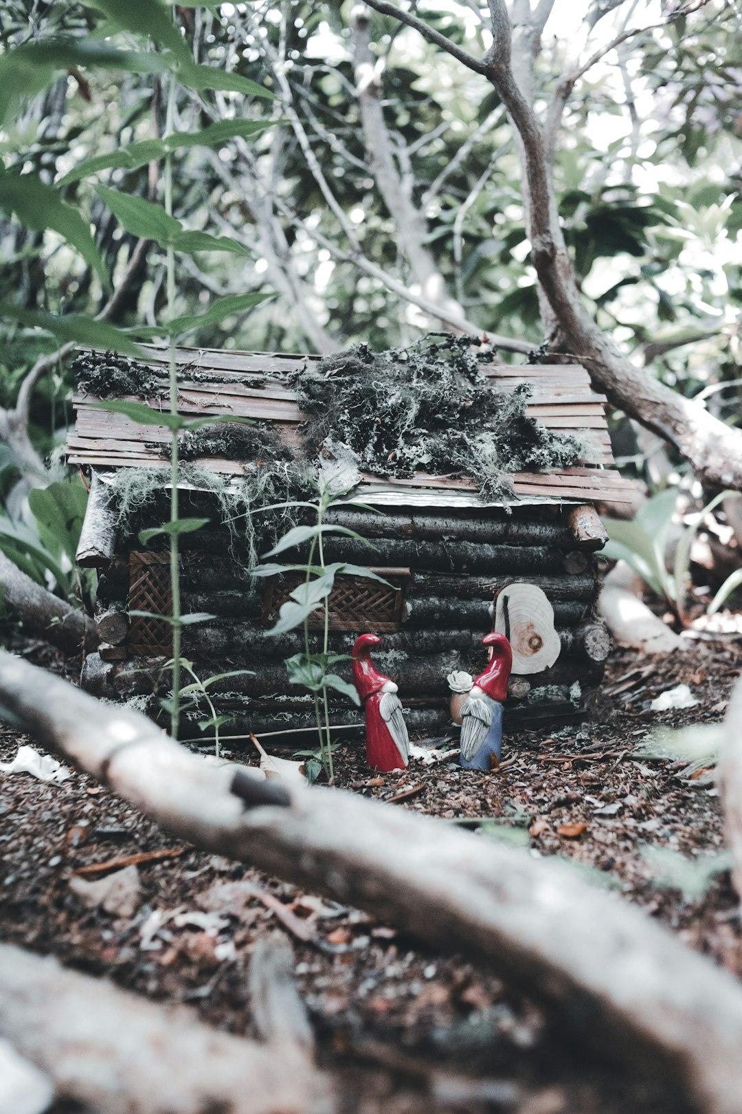 Miniaturowa chata z mchu i bali ze skrzatami w leśnym otoczeniu.