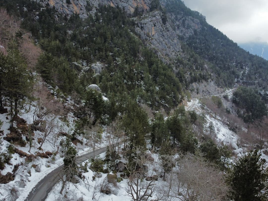 Górska droga wijąca się przez zaśnieżony las sosnowy w górach