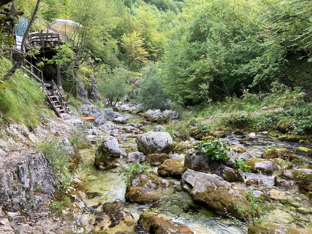 Krystalicznie czysty górski potok i restauracja w lesie.