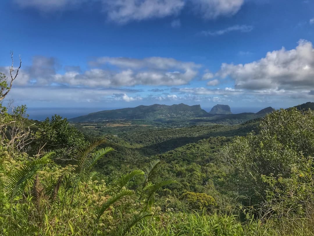Zielony tropikalny krajobraz Mauritiusa z górą Le Morne Brabant i oceanem.