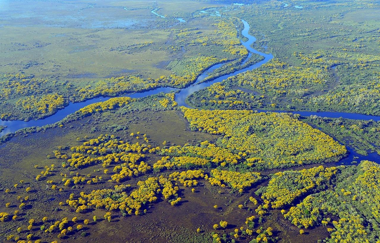 Panoramiczny widok na mokradła z krętą rzeką i żółtymi drzewami.