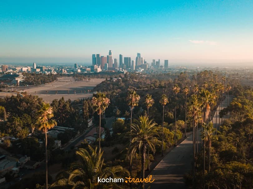 Panorama Los Angeles, droga z palmami, wzgórza, zachód słońca.