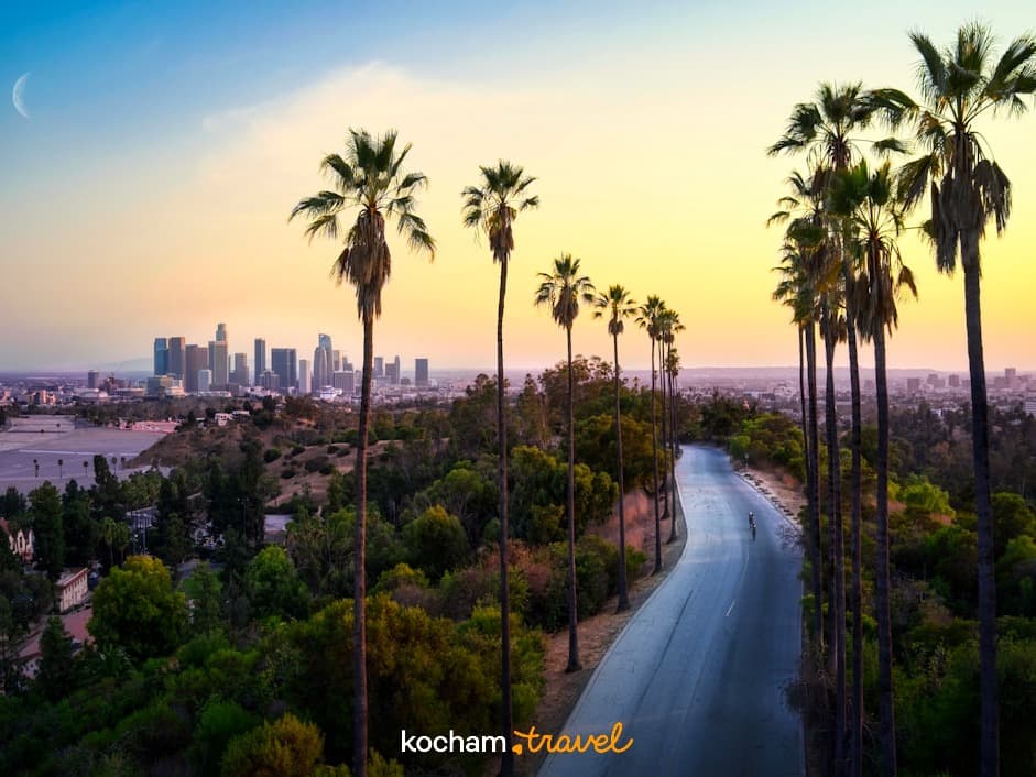 Droga z palmami i panoramą miasta Los Angeles o zachodzie słońca.