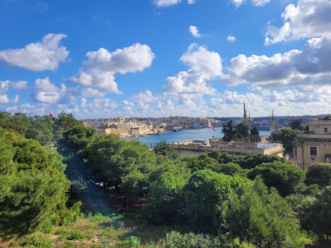 Panoramiczny widok na historyczną Vallettę i Wielki Port Malty z drzewami.