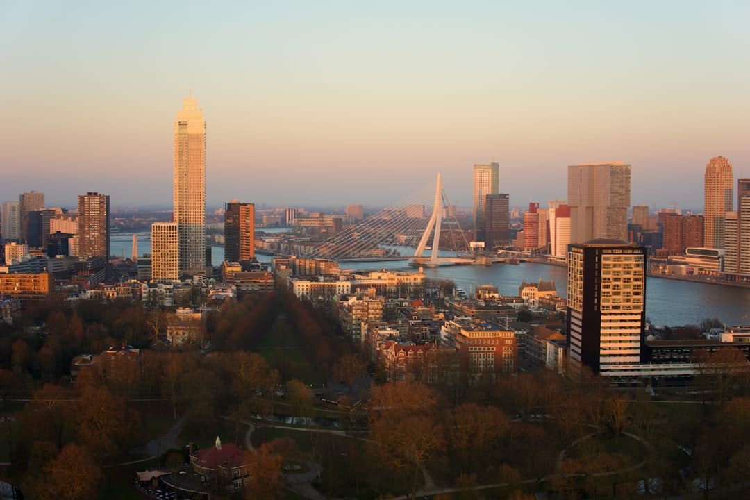 Panorama Rotterdamu, Most Erazma, wieżowce, rzeka Nowa Moza o zachodzie słońca.