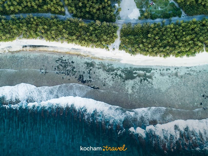 Tropikalna plaża z palmami, turkusowym oceanem i falami, widok z lotu ptaka.