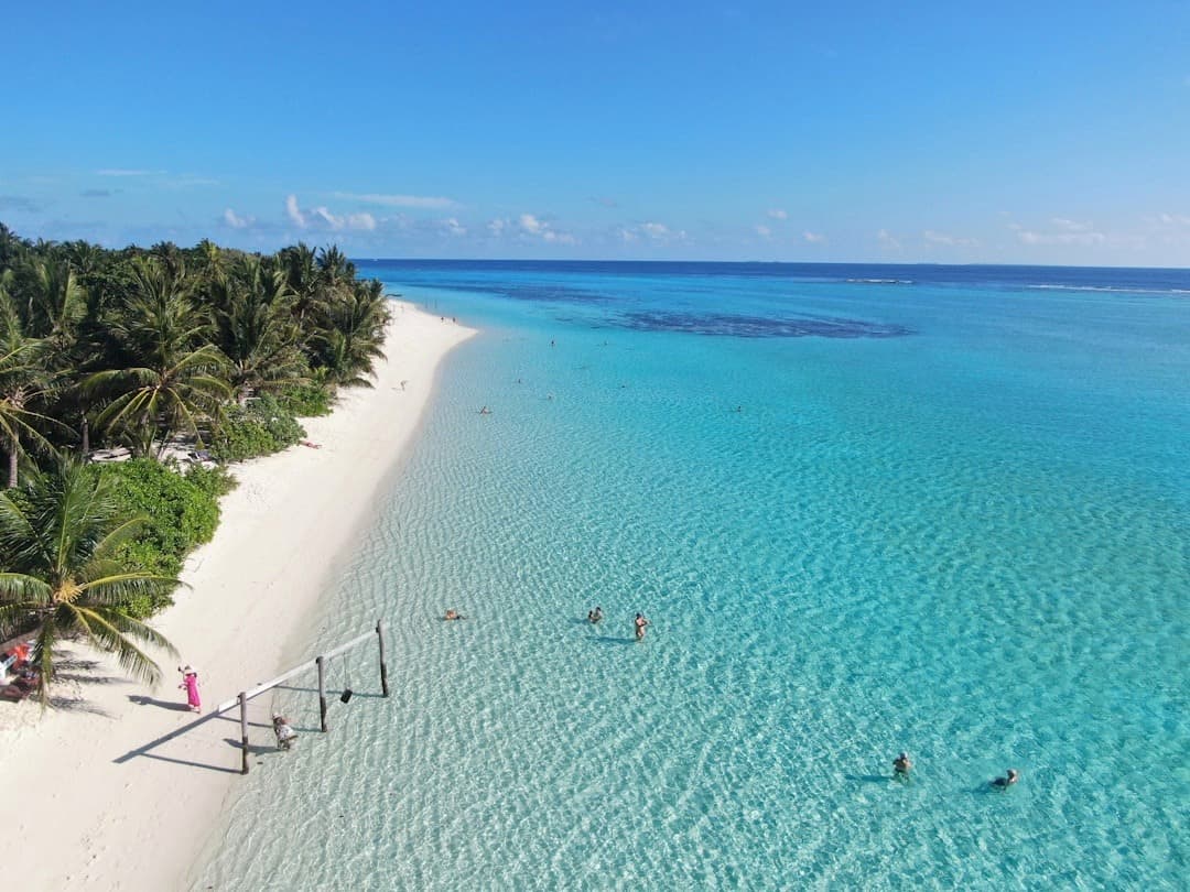 Rajska tropikalna plaża z turkusową wodą, palmami i kąpiącymi się ludźmi.
