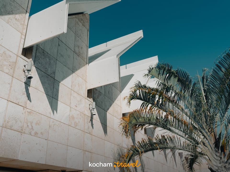 Nowoczesna architektura, biała elewacja, palma, błękitne niebo, ostre cienie.