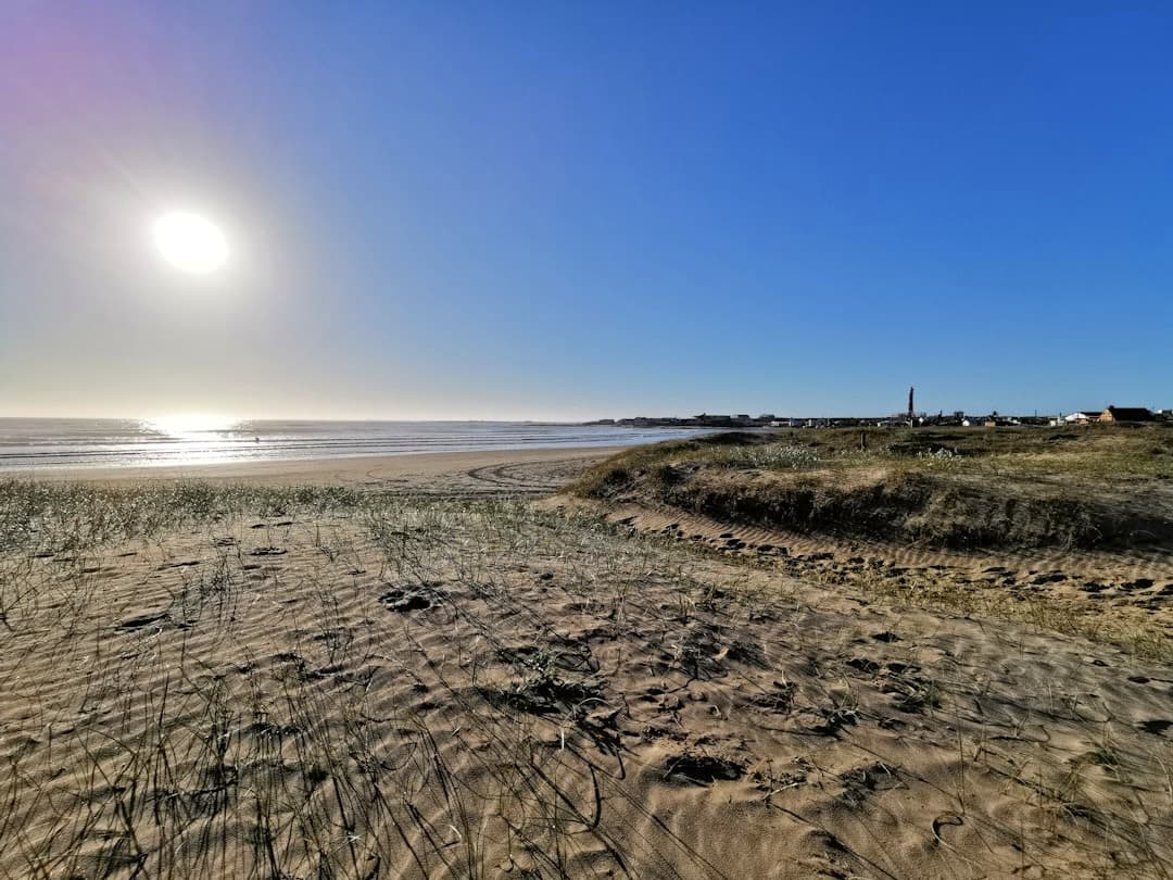 Słoneczna plaża z wydmami, oceanem i latarnią morską w oddali.