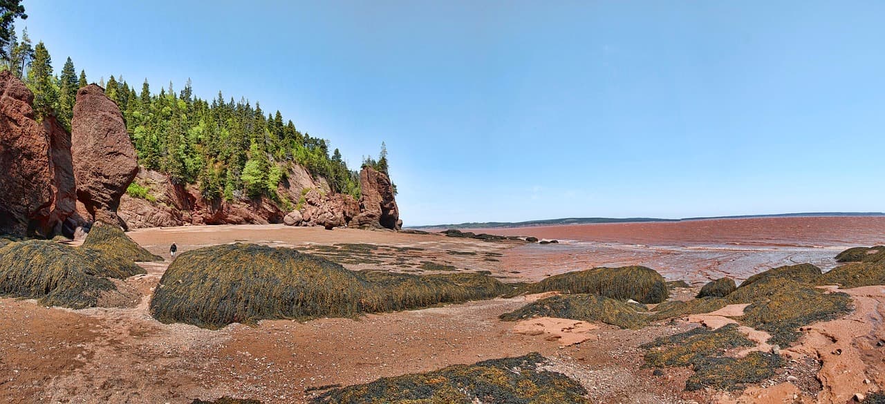 Panoramę czerwonych klifów, skał morskich i błotnistych plaż, jasne światło dzienne.