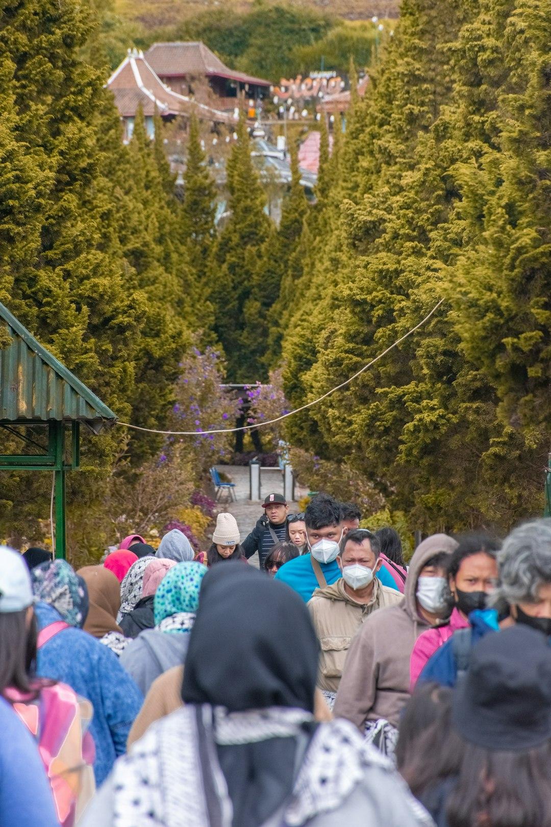 Tłum ludzi w maskach idących ścieżką wśród drzew do tradycyjnych budynków.