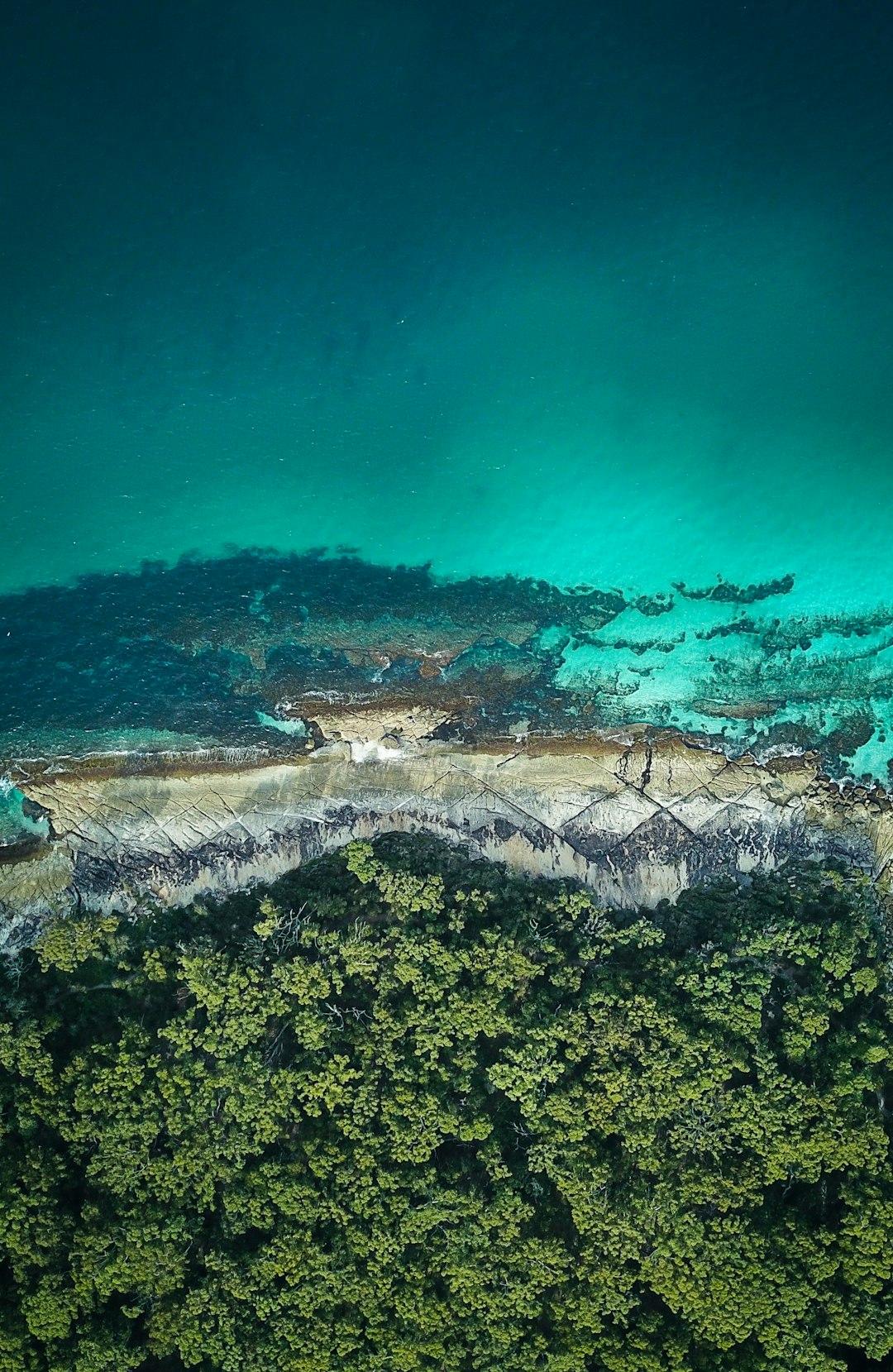 Turkusowy ocean, skaliste wybrzeże i zielony las z lotu ptaka.