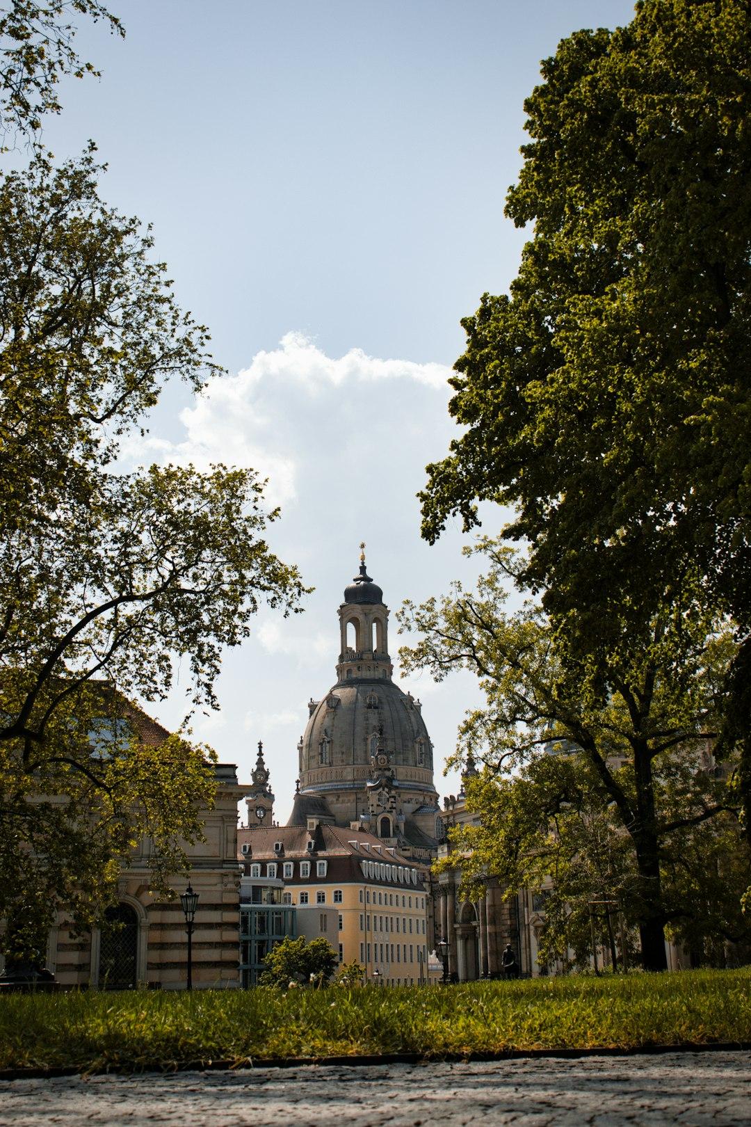 Kościół Frauenkirche w Dreźnie widoczny przez zielone drzewa.