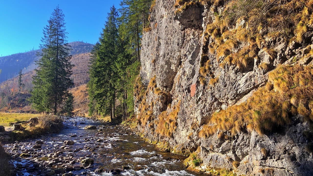Kamienista rzeka, skalna ściana porośnięta trawą, sosny, góry jesienią.