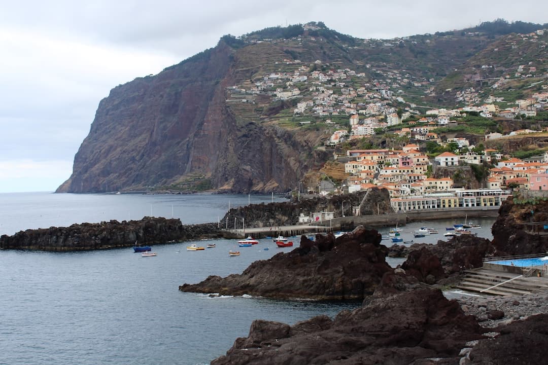 Widok na morze w Funchal, Madera