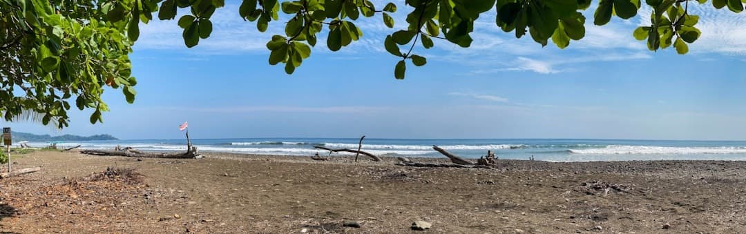 Panoramiczny widok tropikalnej plaży z oceanem, falami i zielonymi liśćmi.