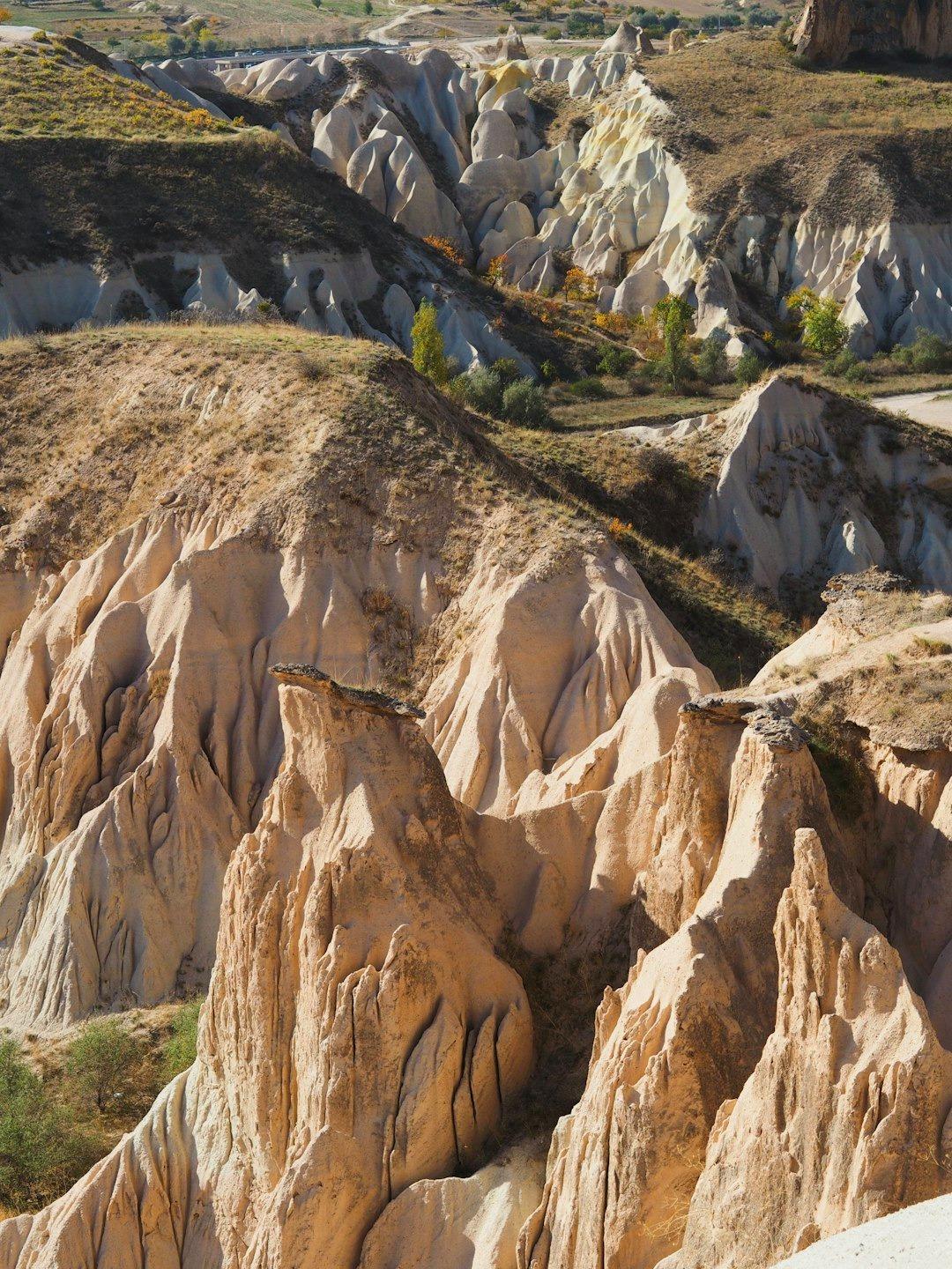 Unikalne beżowe formacje skalne w dolinie, naturalny krajobraz geologiczny.