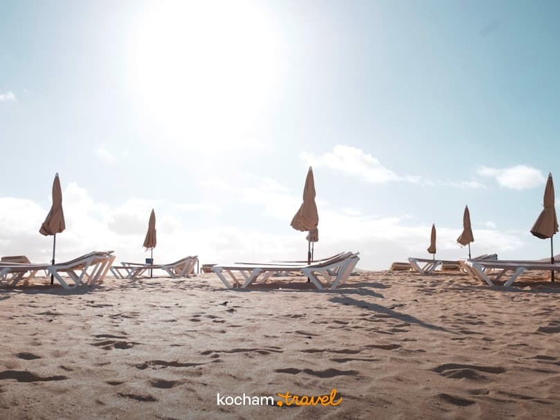 Słoneczna piaszczysta plaża z rzędami pustych leżaków i parasoli.