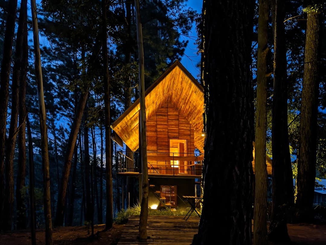 Oświetlony drewniany domek w sosnowym lesie o zmierzchu.