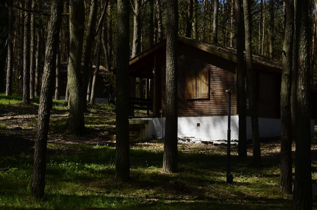 Uroczy drewniany domek letniskowy ukryty w gęstym lesie sosnowym.