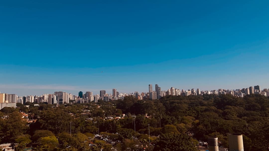 Panorama miasta, wieżowce, zielony park miejski, błękitne niebo, samolot.