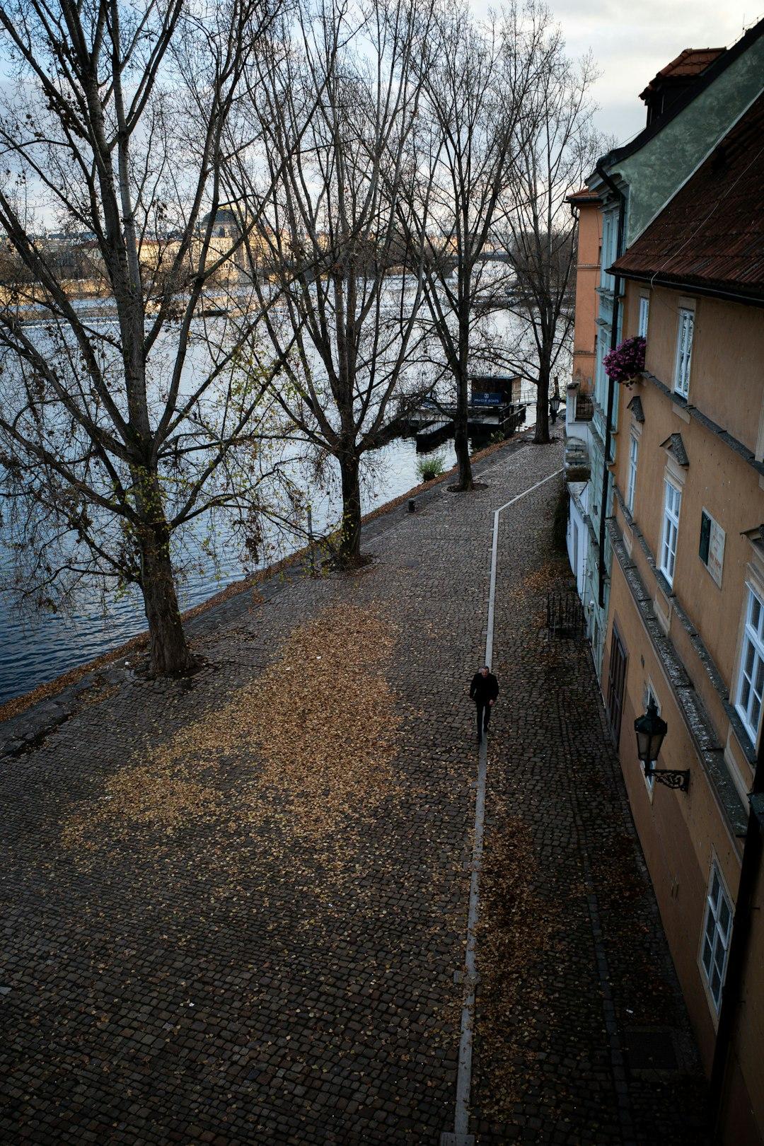 Brukowana ścieżka z jesiennymi liśćmi, Wełtawa, historyczne budynki Pragi.
