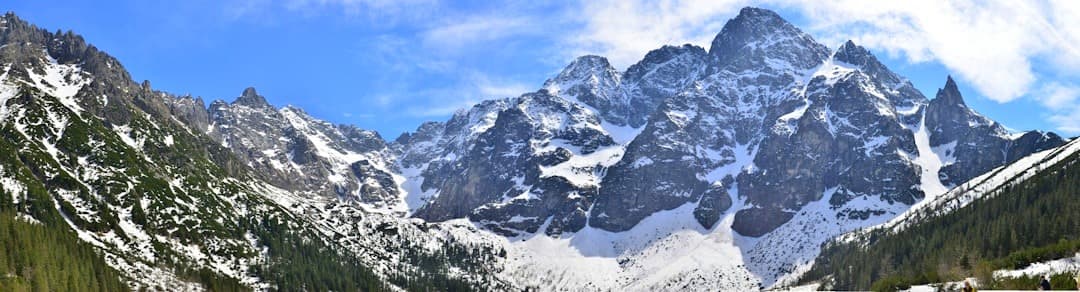 Panoramiczny widok ośnieżonych gór, zielonych lasów, błękitnego nieba.