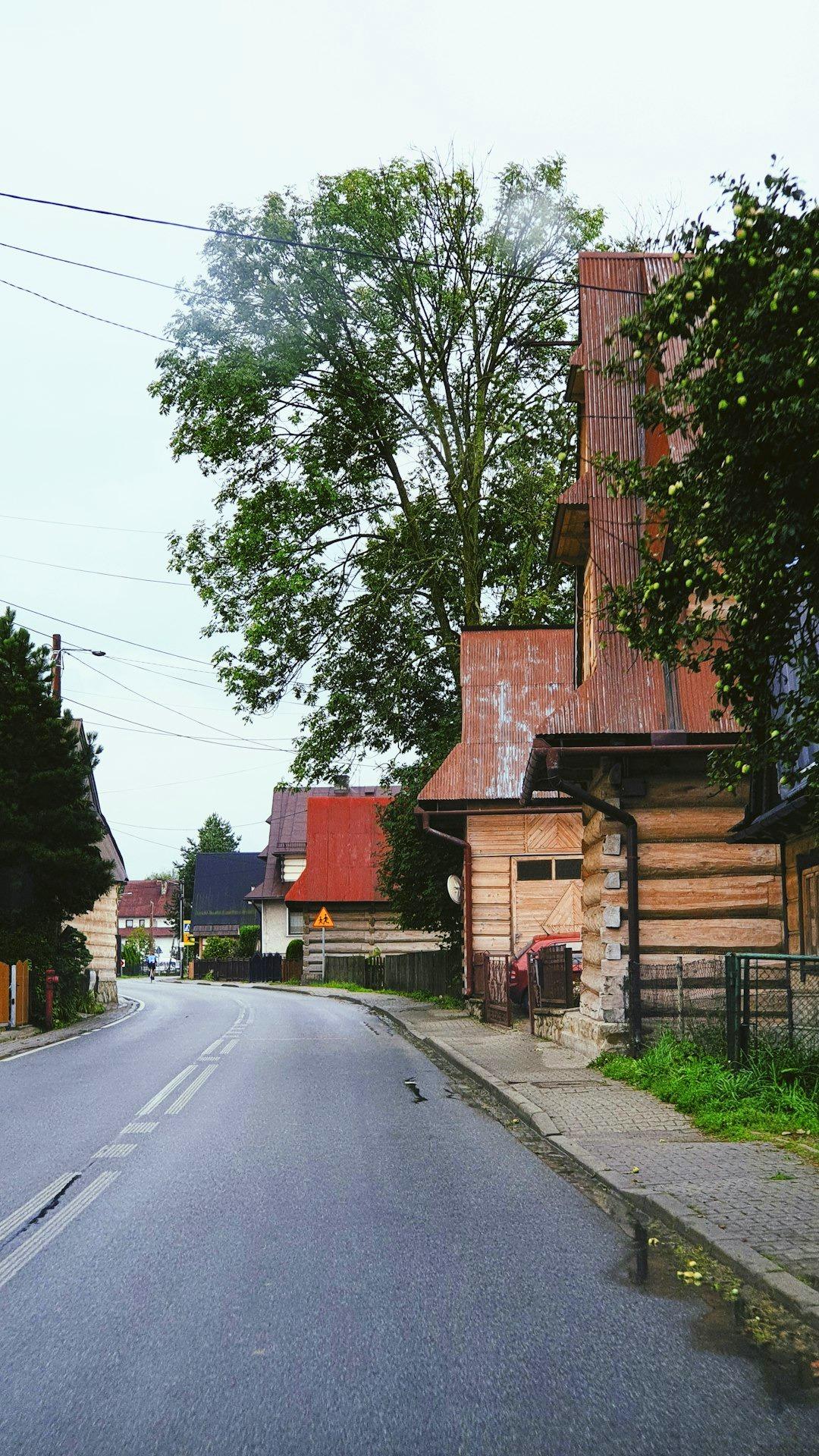 Mokra, kręta wiejska ulica z drewnianymi domami i zielonymi drzewami.