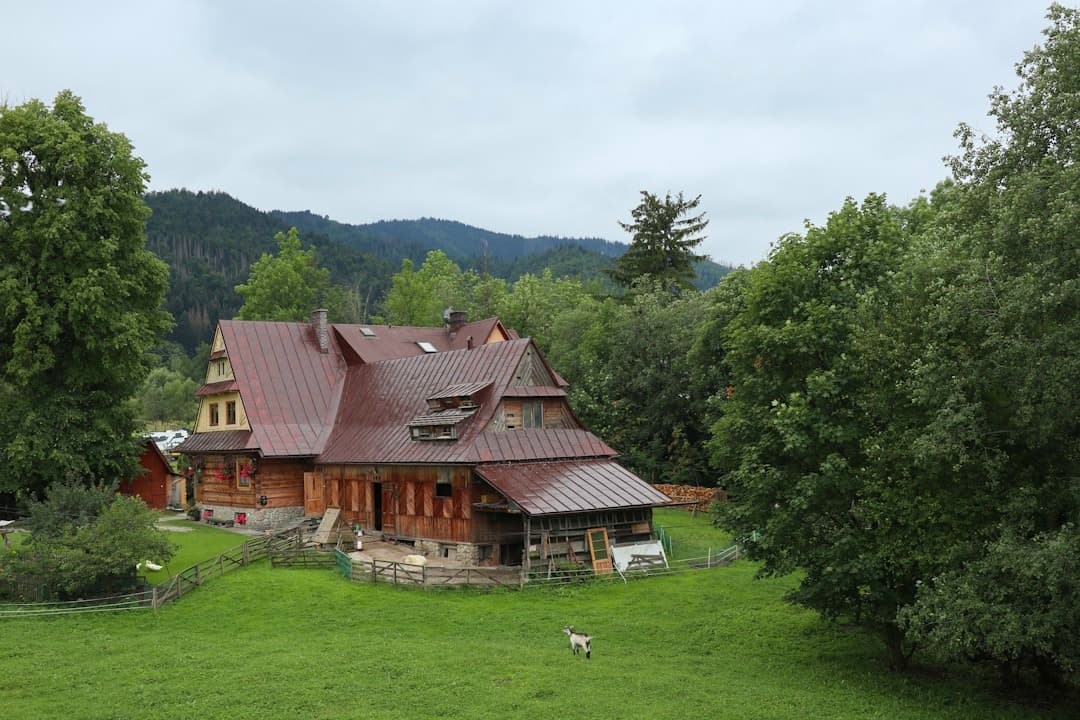 Tradycyjny drewniany dom, zielona łąka, górski krajobraz, kozioł.