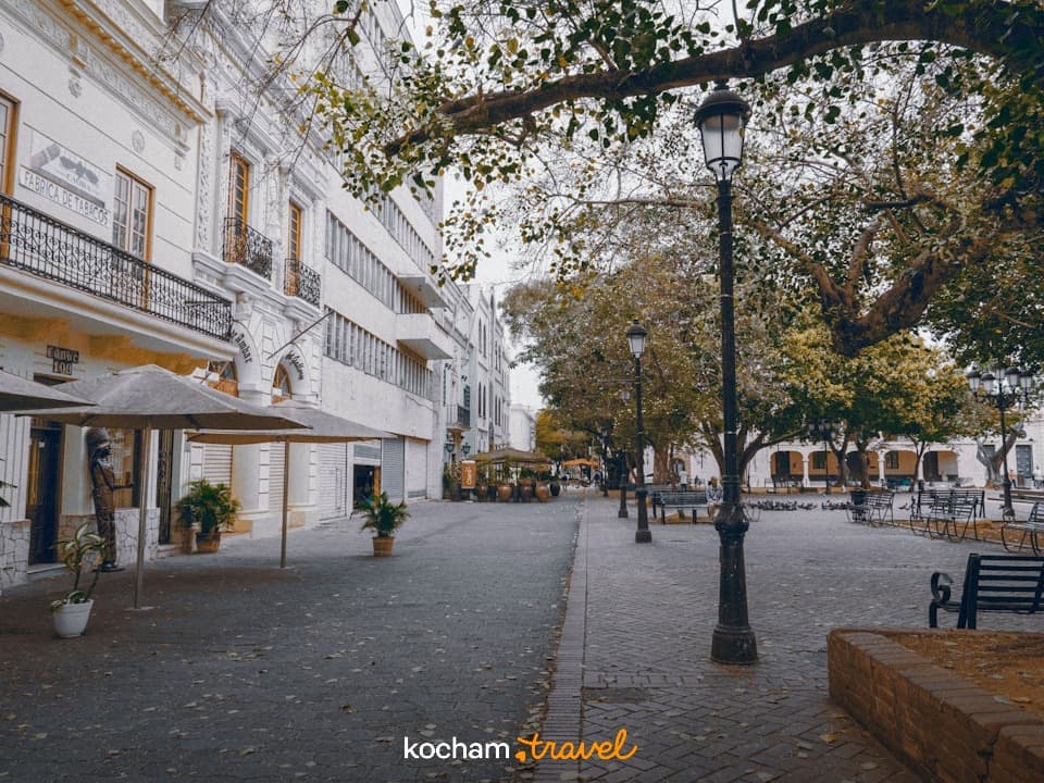 Historyczny plac miejski z kolonialną architekturą, drzewami i kawiarniami na świeżym powietrzu.