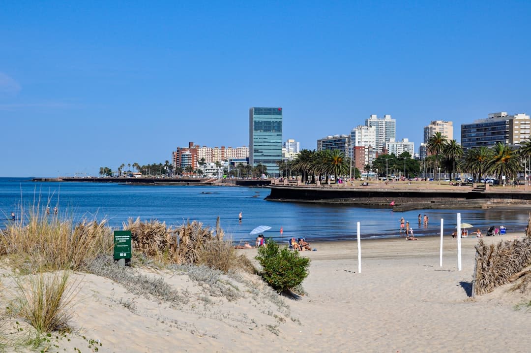 Plaża miejska z wieżowcami i palmami, Montevideo