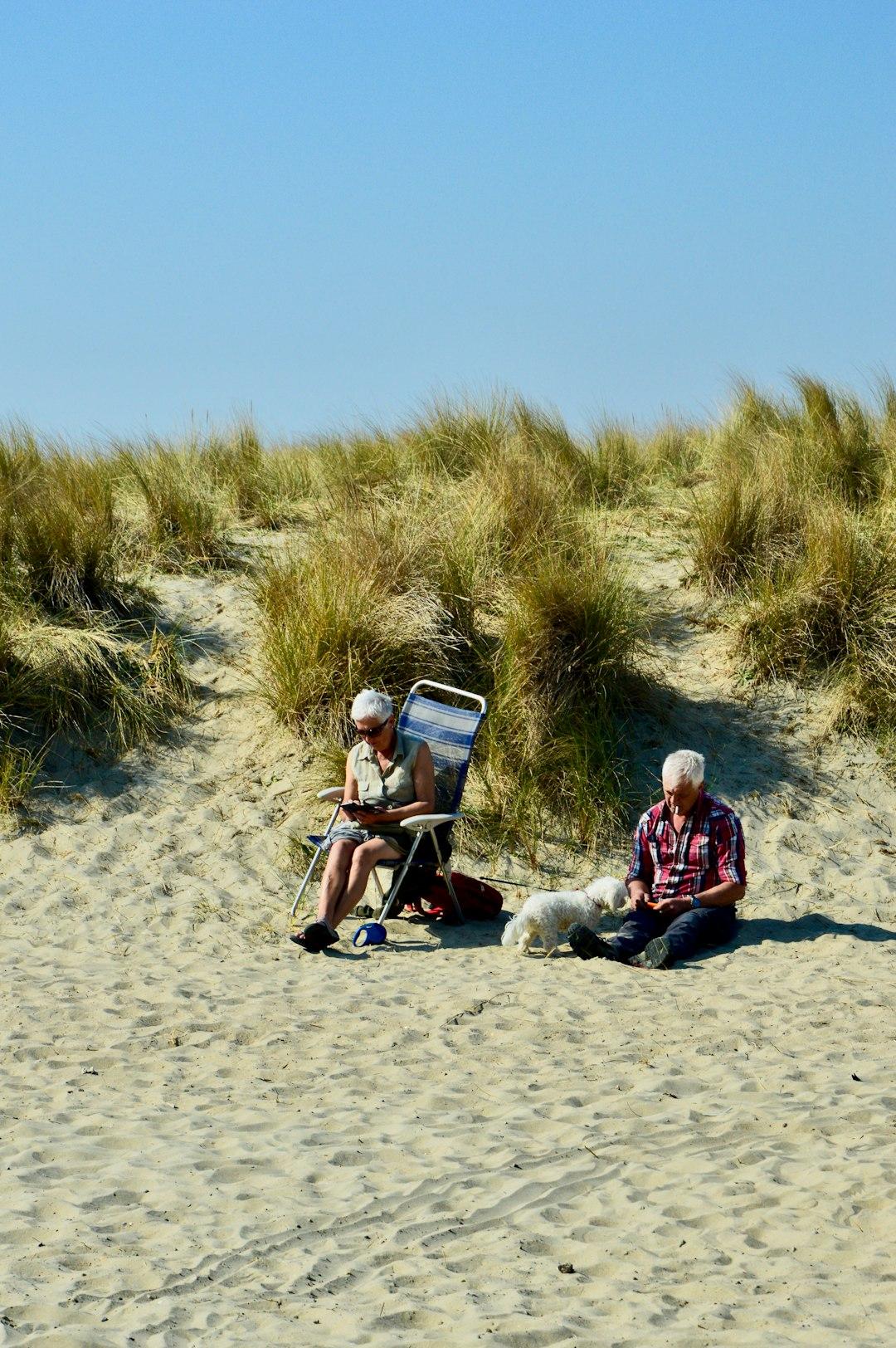 Starsi ludzie z psem relaksują się na piaszczystej plaży przy wydmach.